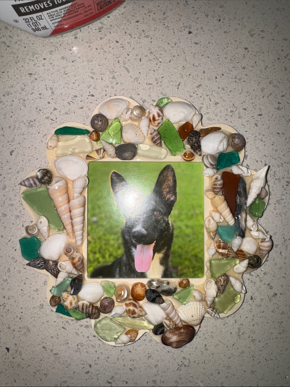 Handcrafted Shell & Sea Glass Frame - Picture 2 of 6